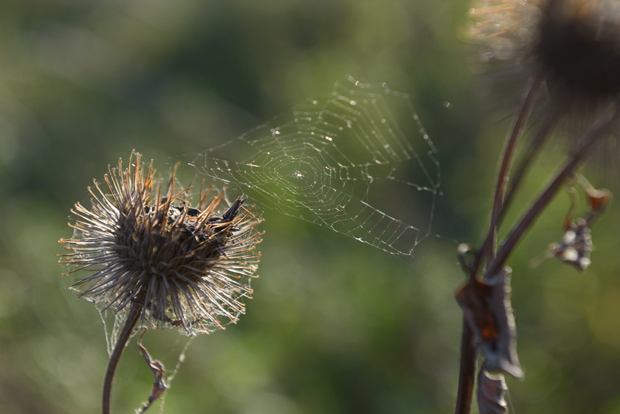 20150930 174840 web