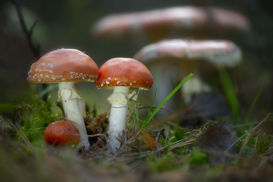 20151003 152951 1