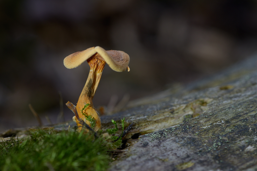 20151003 162835