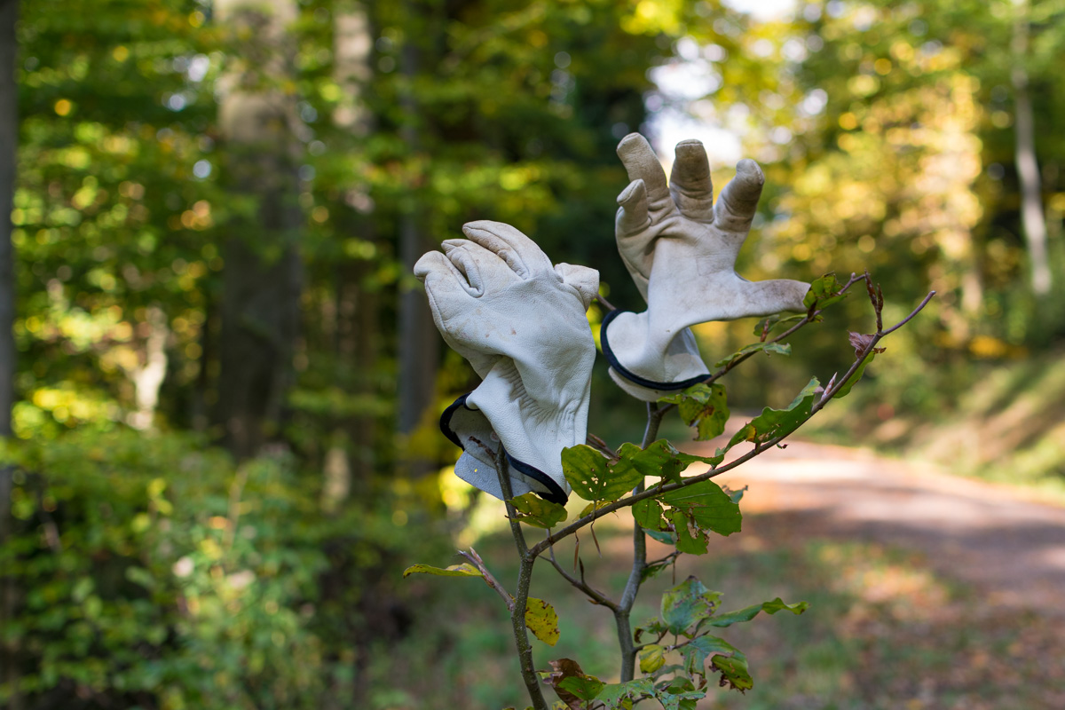 20151025-DSC_1832.jpg