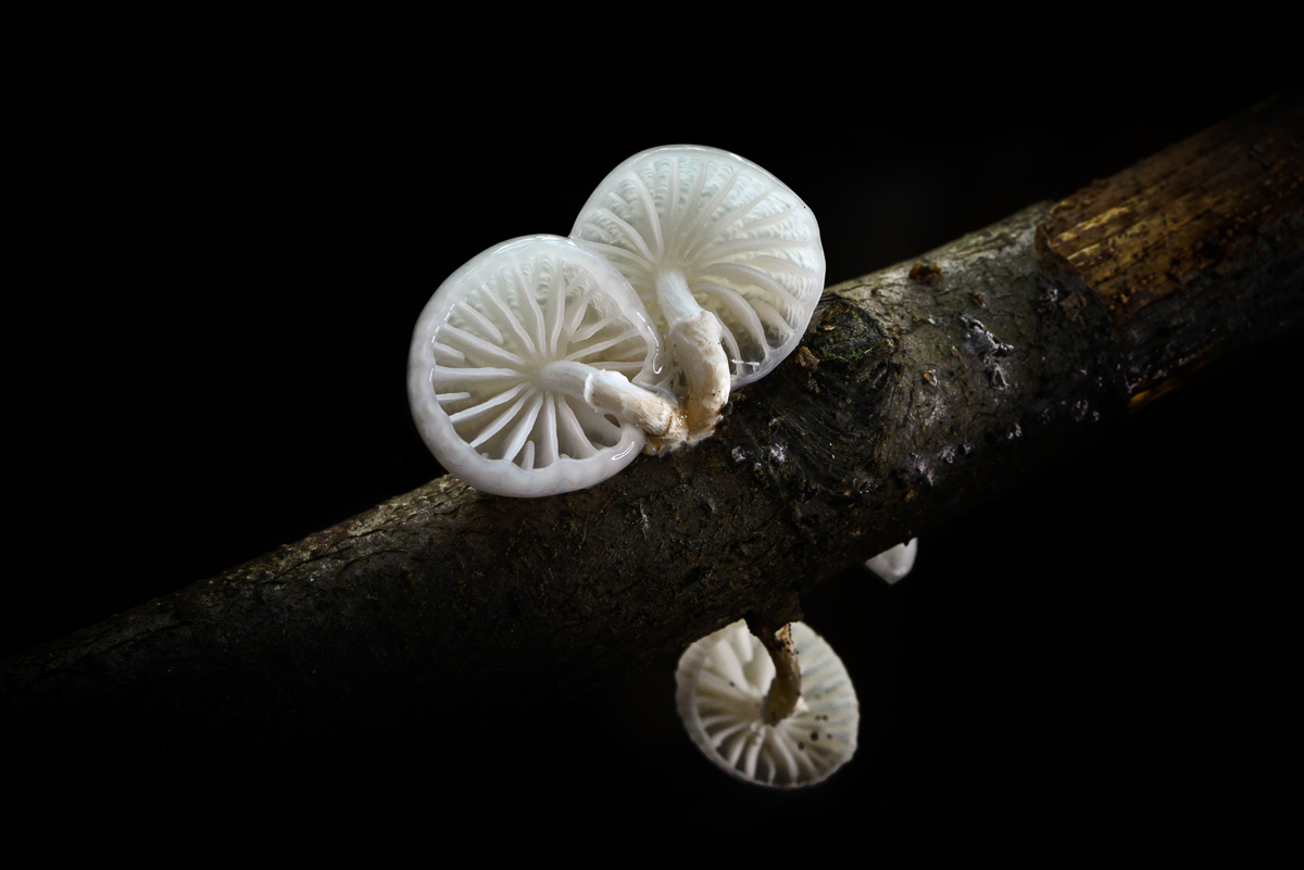 20151026 162547