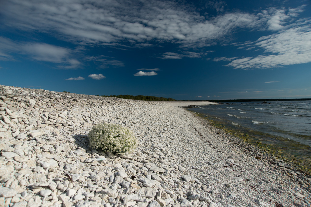 2016 Fotokalender gotland 9