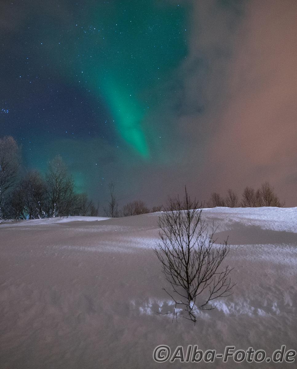 20160211 DSC07137 Kopie