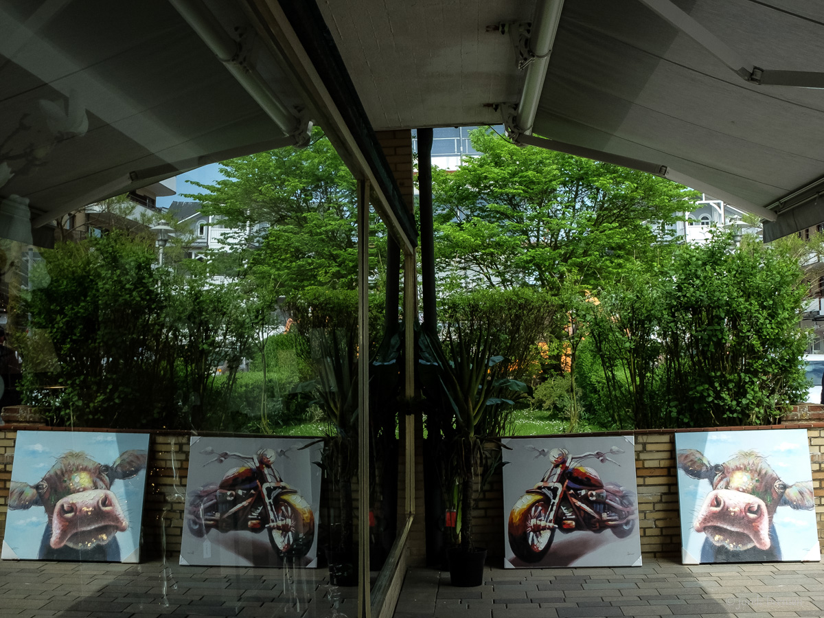 20160512-001.jpg