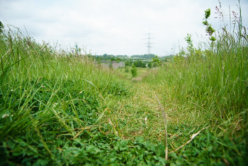 20160529 20160529 DSC03835
