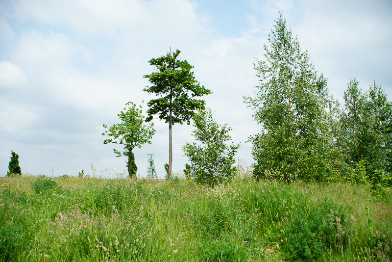 20160529 20160529 DSC03836
