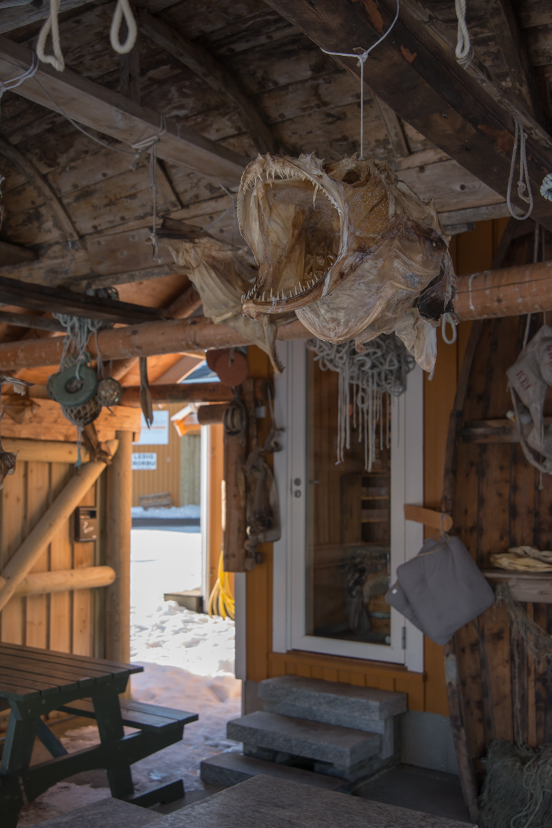 2017 Lofoten Reisebericht 119