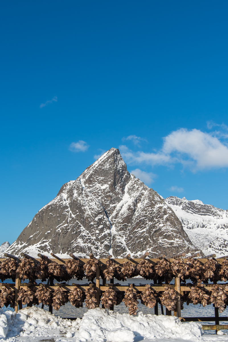 2017 Lofoten Reisebericht 121