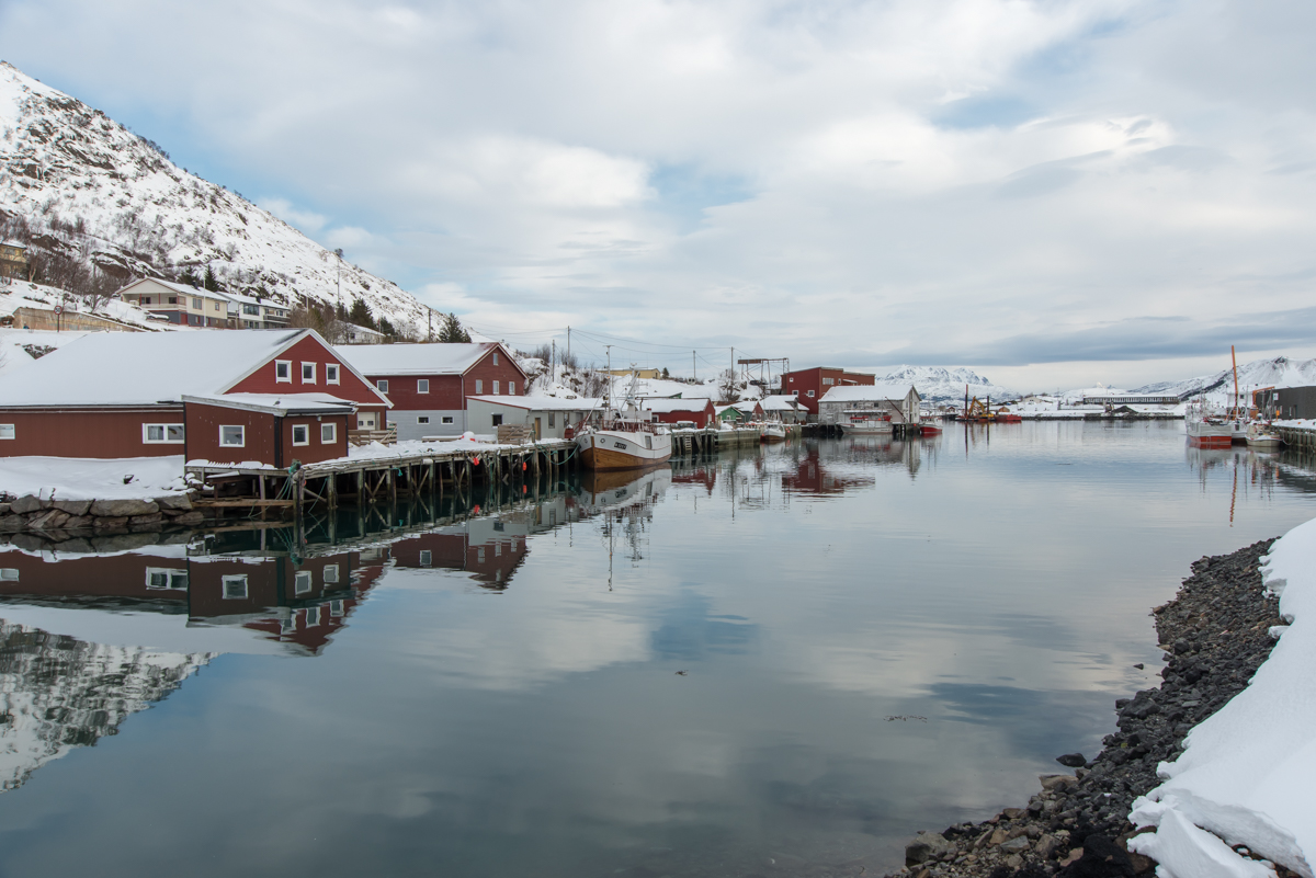 2017 Lofoten Reisebericht 34