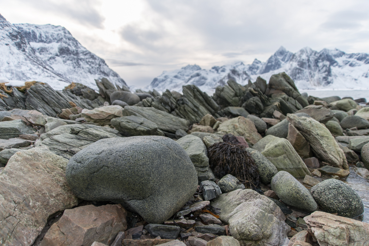 2017 Lofoten Reisebericht 37