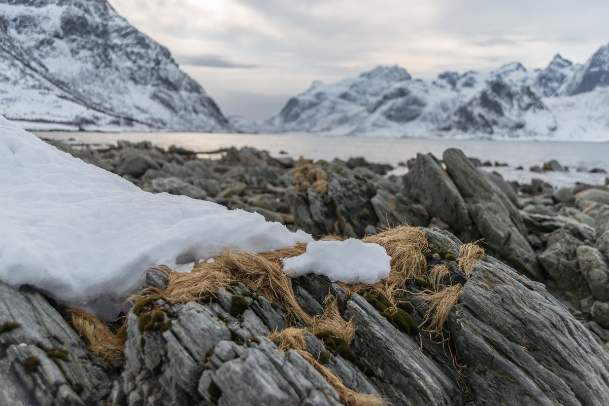 2017 Lofoten Reisebericht 38