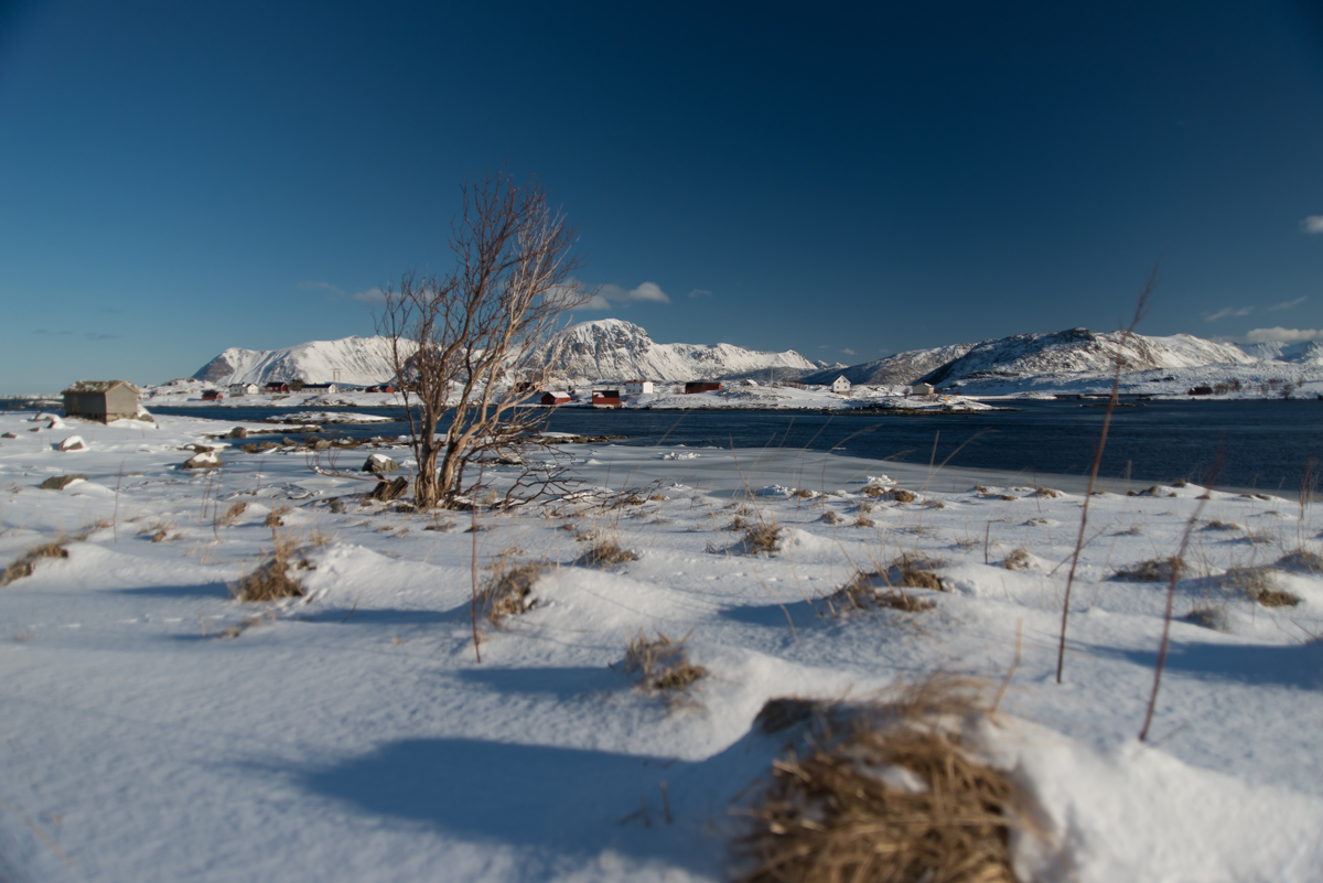 2017 Lofoten Reisebericht 75