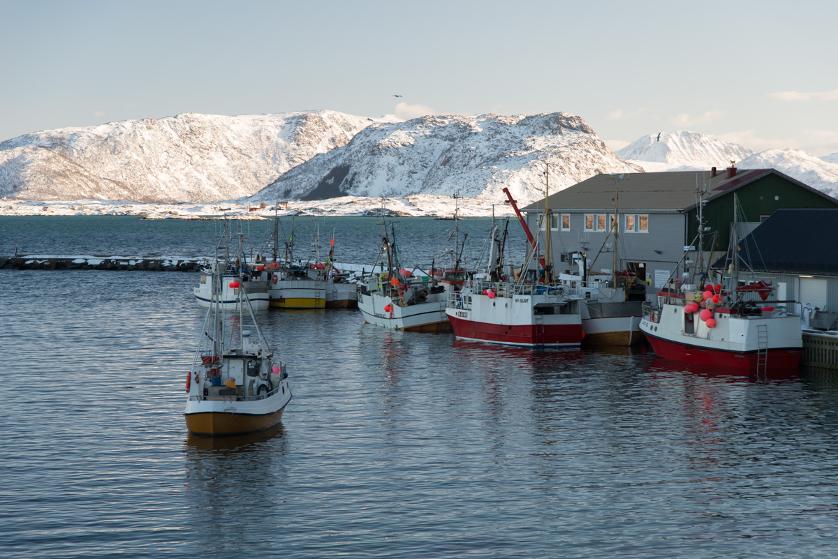 2017 Lofoten Reisebericht 77