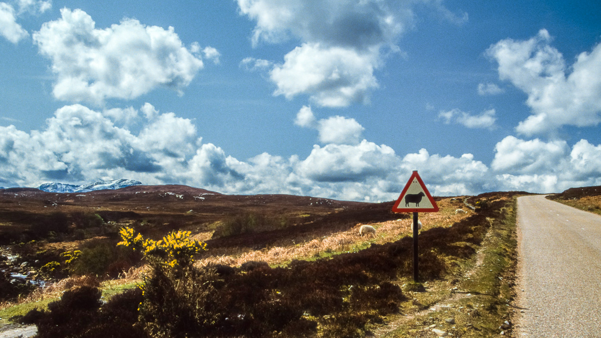 20170120-Schottland_1992_196.jpg