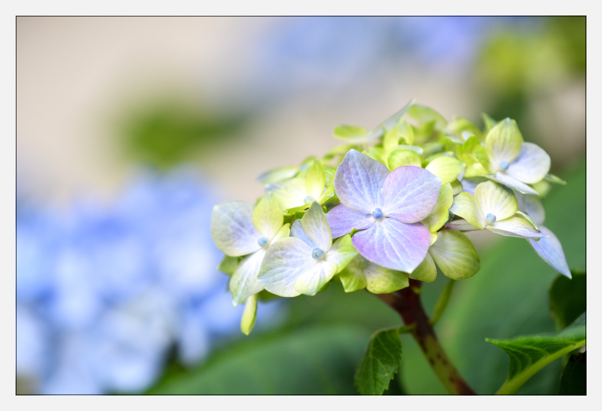 20170409 DSC 2928