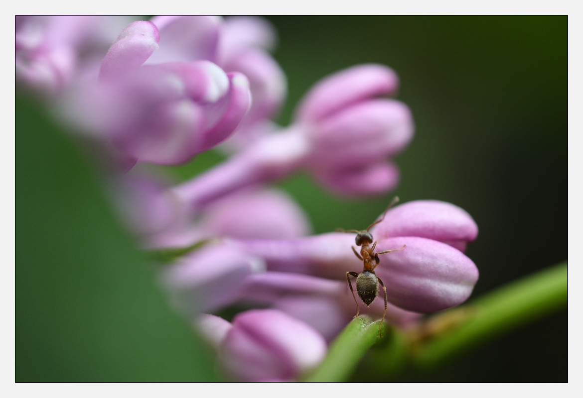 20170416 DSC 3106