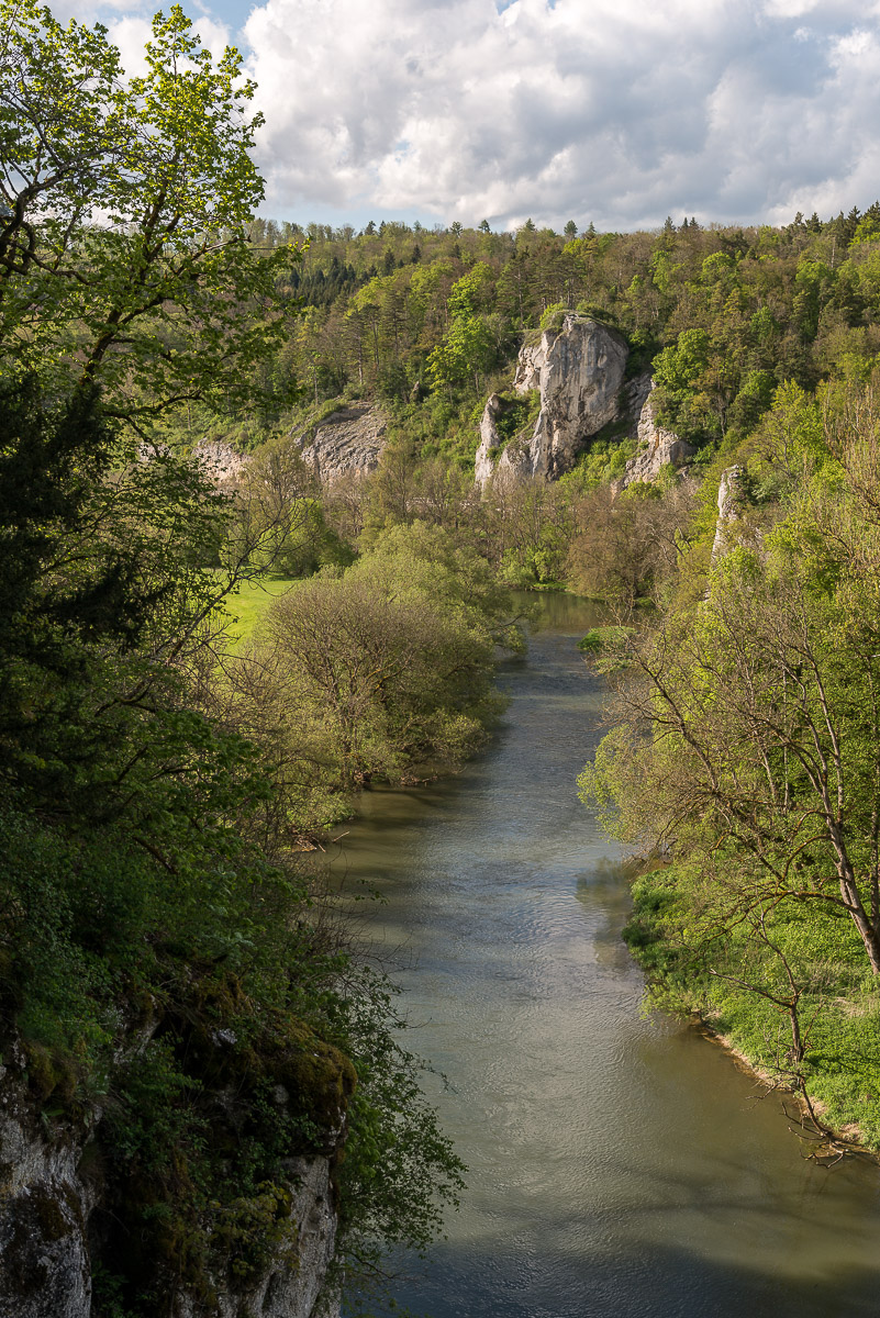 20170515 DSC 3947