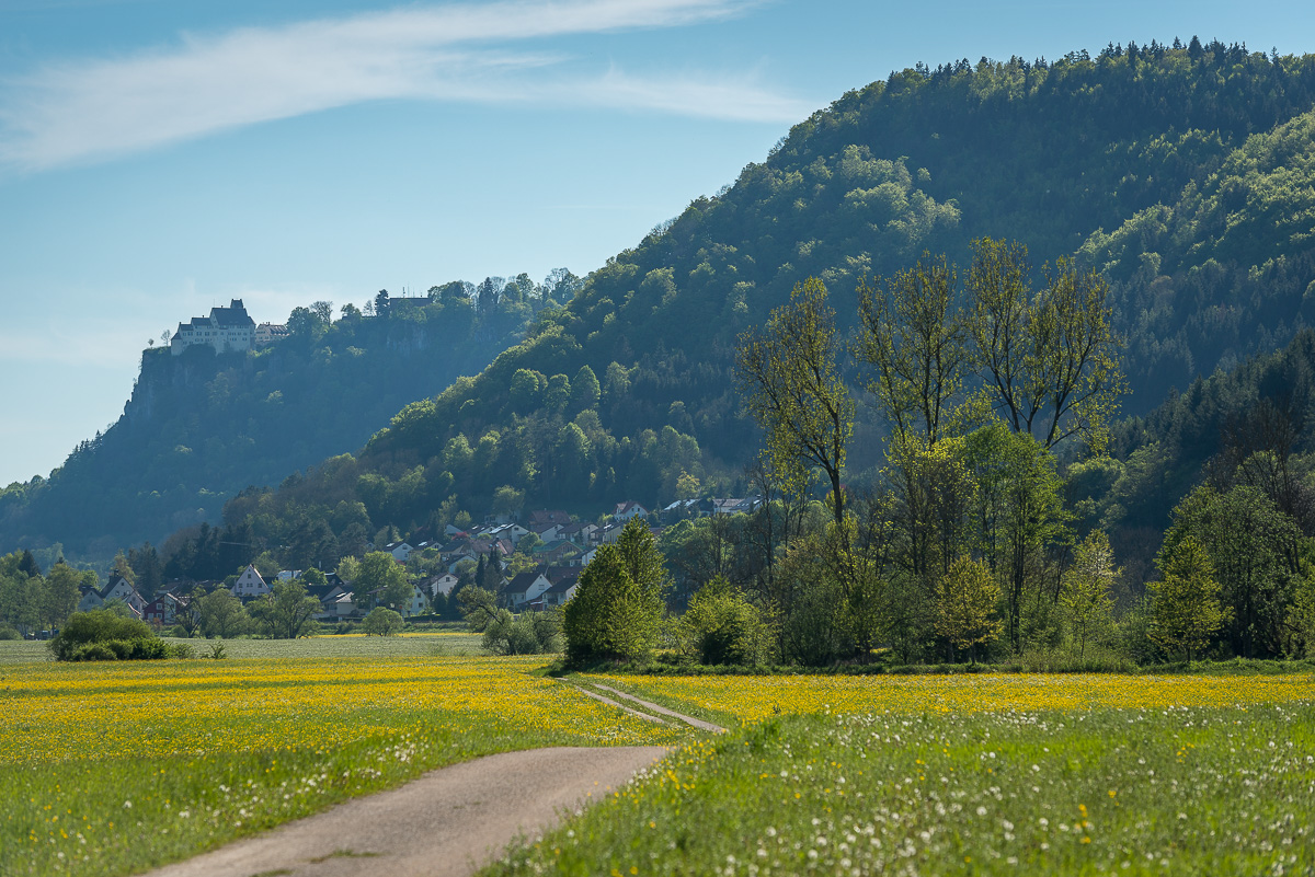 20170516 DSC 3971
