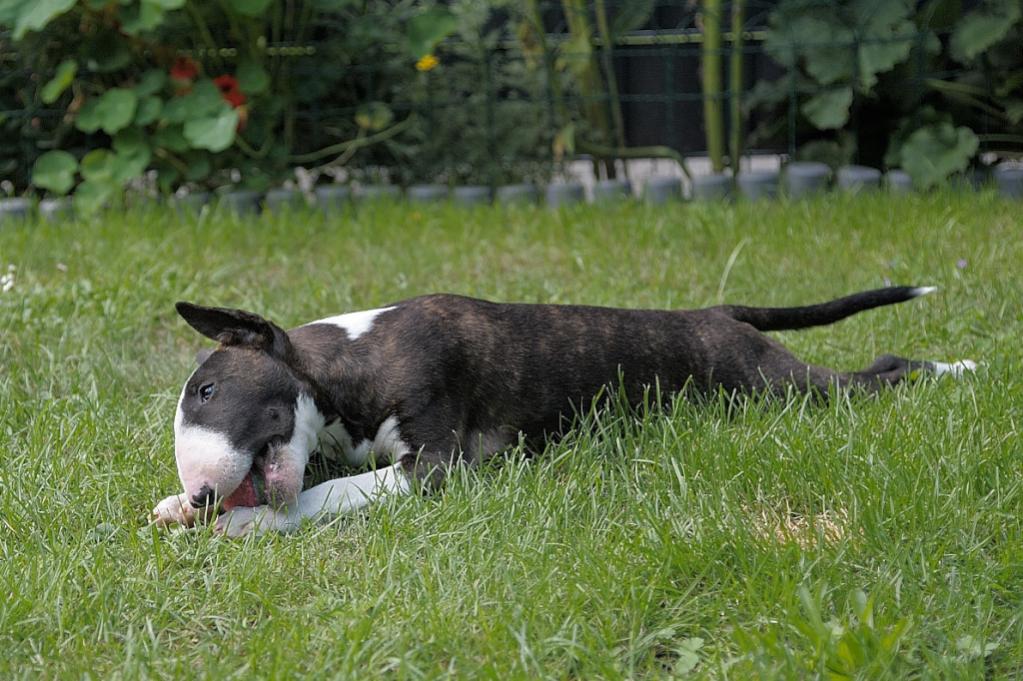 20170819 Rosi 090A,
D700 + AF-S 24-120/4 G ED