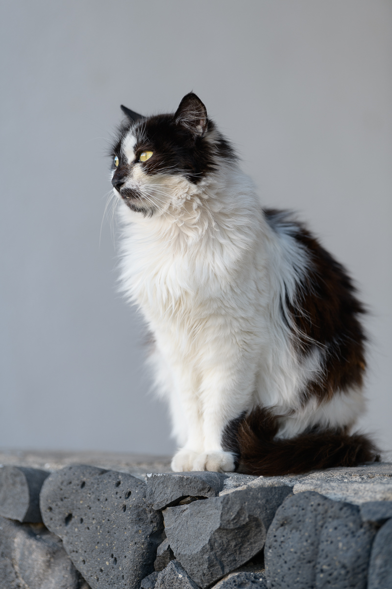 2018 02 24 18 32 16 DSC 2513