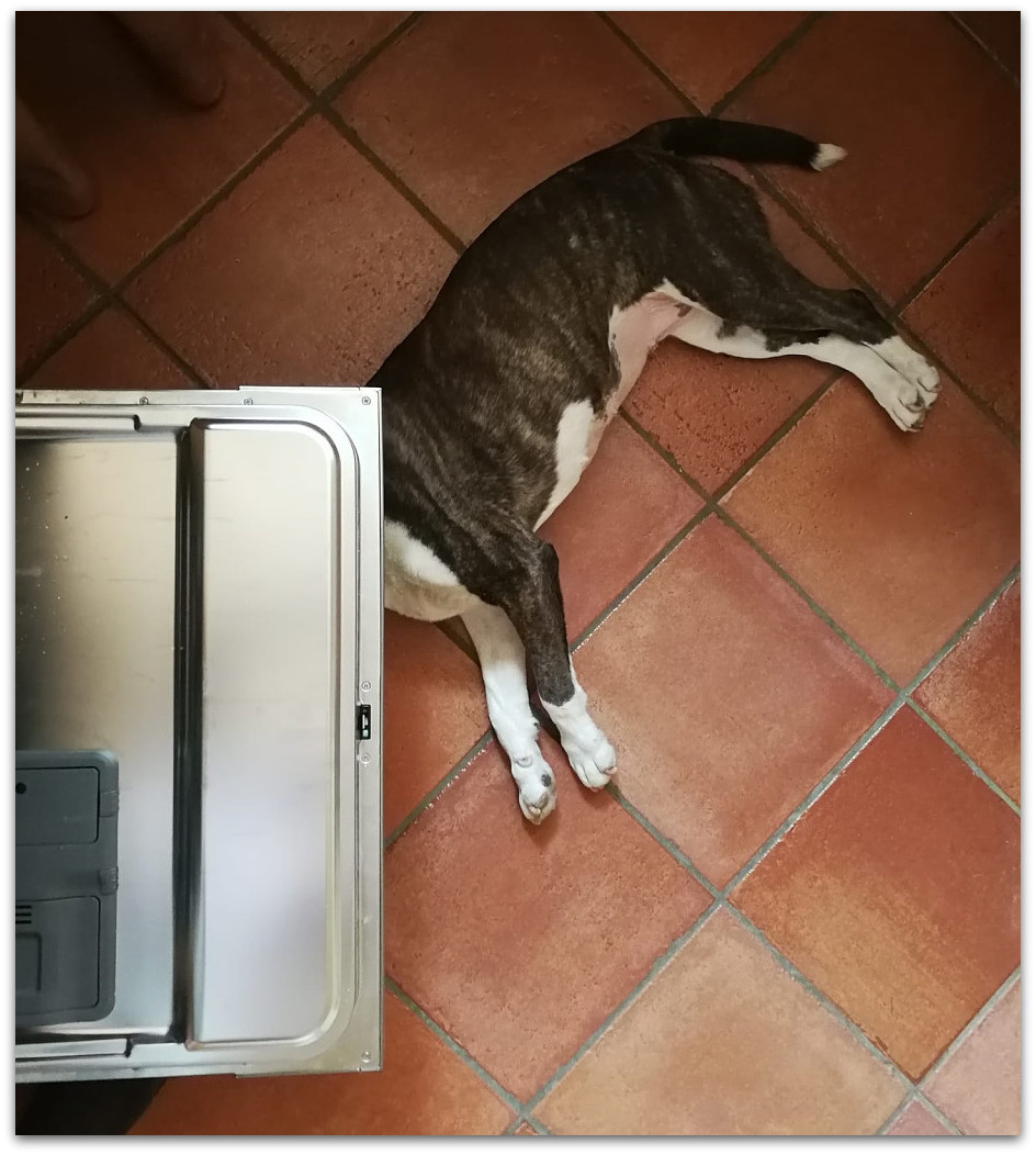 20180728 104827
Huawei P10