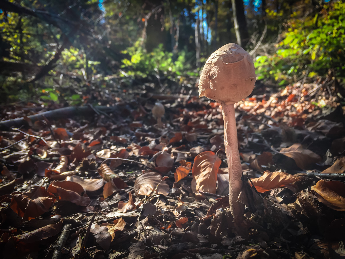 20181015 13411160527621