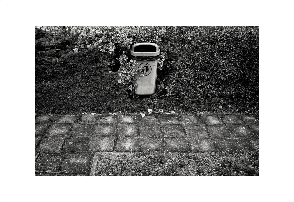 20181228-L1020113-Bearbeitet.JPG