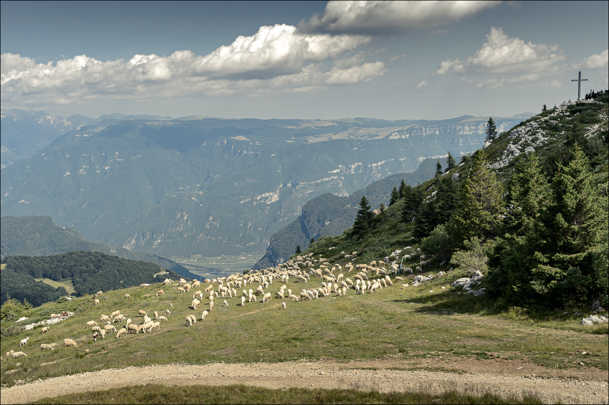 2019-07-16_Gardasee_053.jpg
