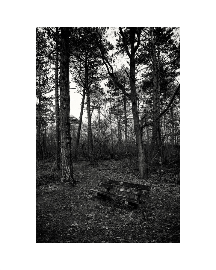 20190103-L1020157-Bearbeitet.JPG
