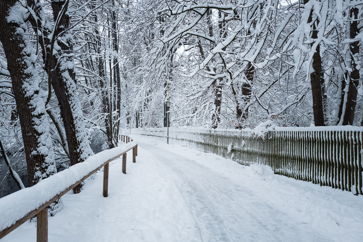 20190110 121314