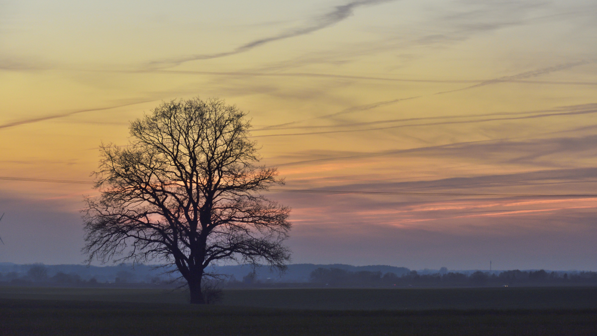 20190224 Sonnenuntergang 72D5484 1200