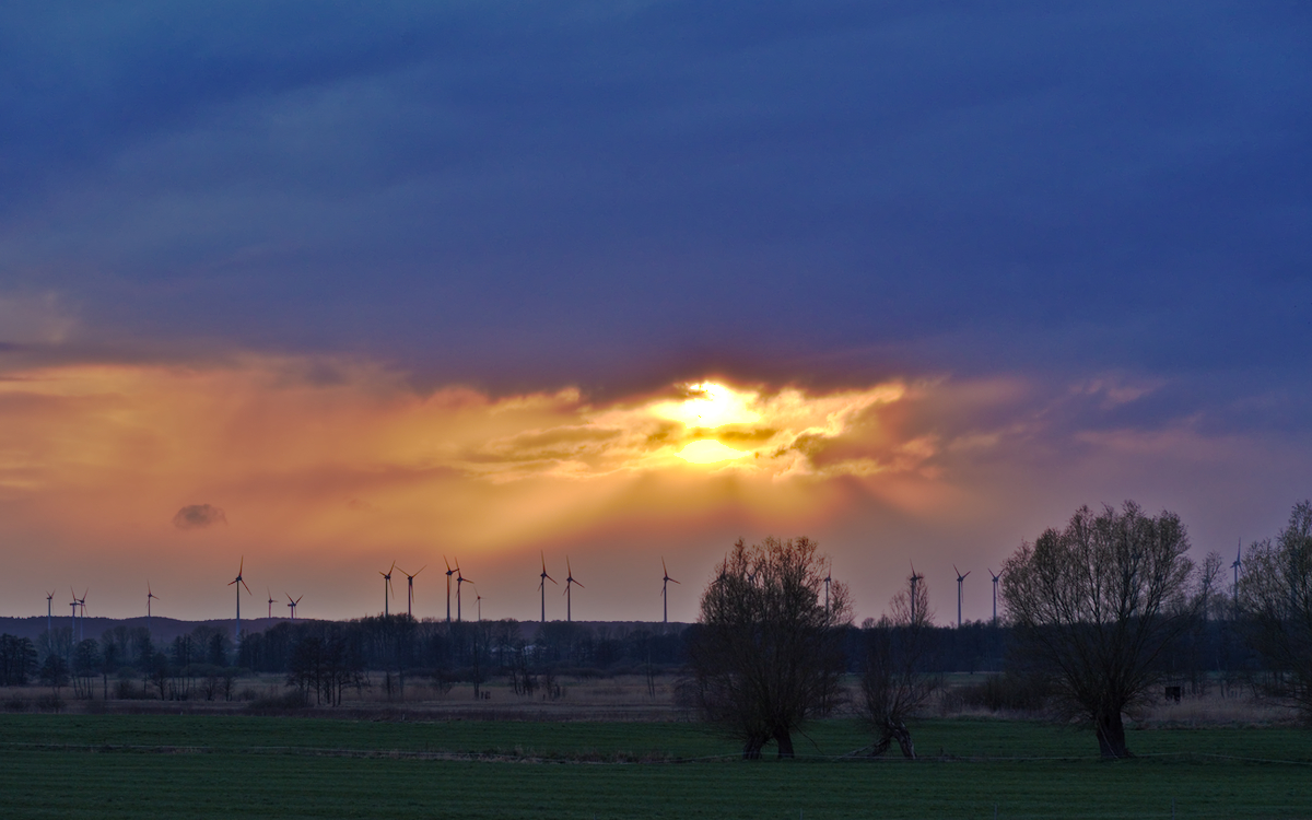 20190412_75D0651.jpg