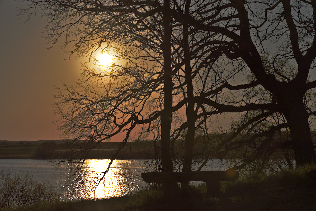 20190419_75D0848_01.jpg