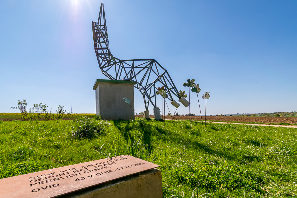 20190420-DSC_4015.jpg
