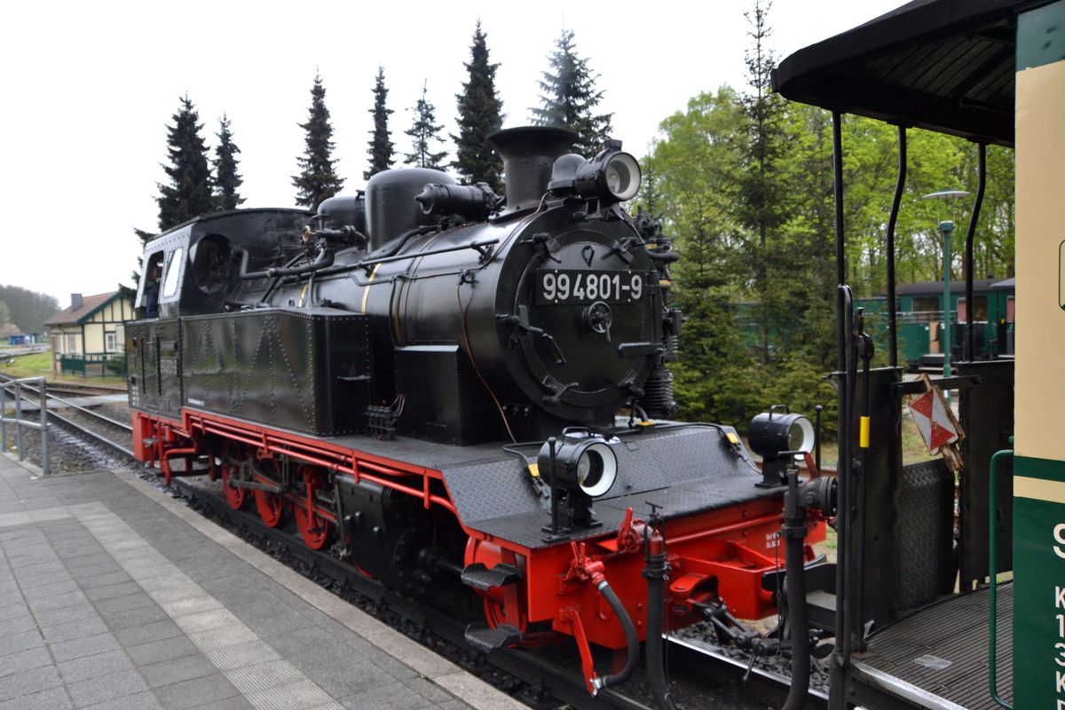 20190501_150230nf.jpg
