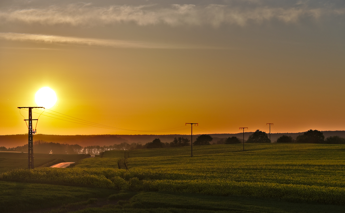 20190511_75D2023_1200.jpg