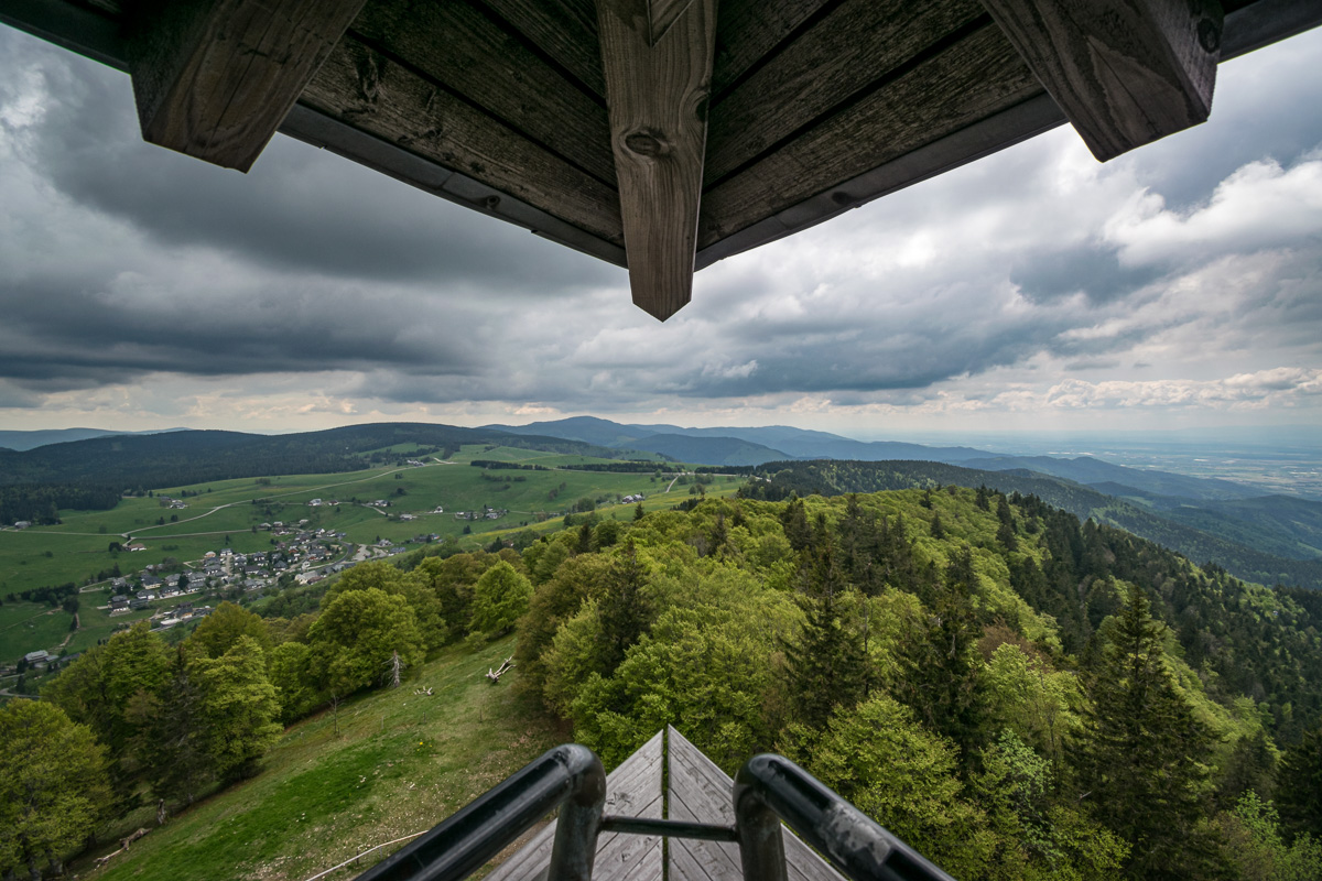 20190526-DSC_3412.jpg