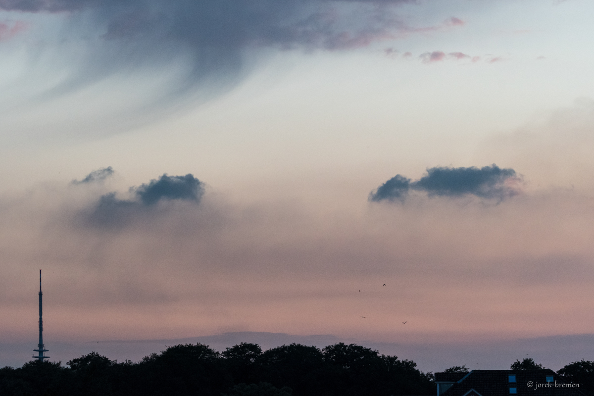 20190611-004.jpg