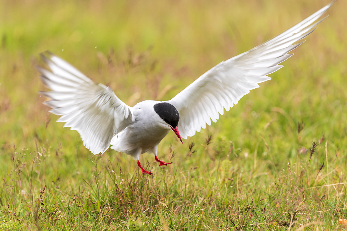 20190716_ND5_4645NF.jpg