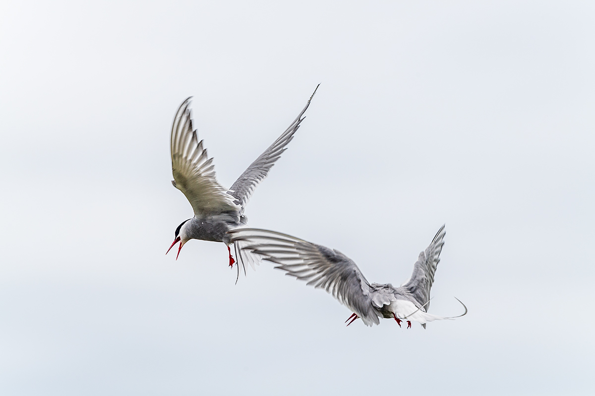 20190716_ND5_4653NF.jpg