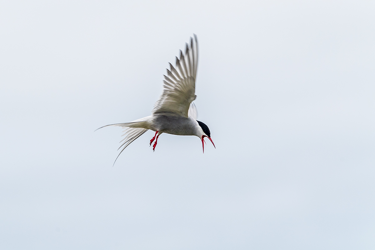 20190716_ND5_4656NF.jpg