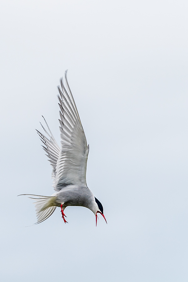 20190716_ND5_4657NF.jpg