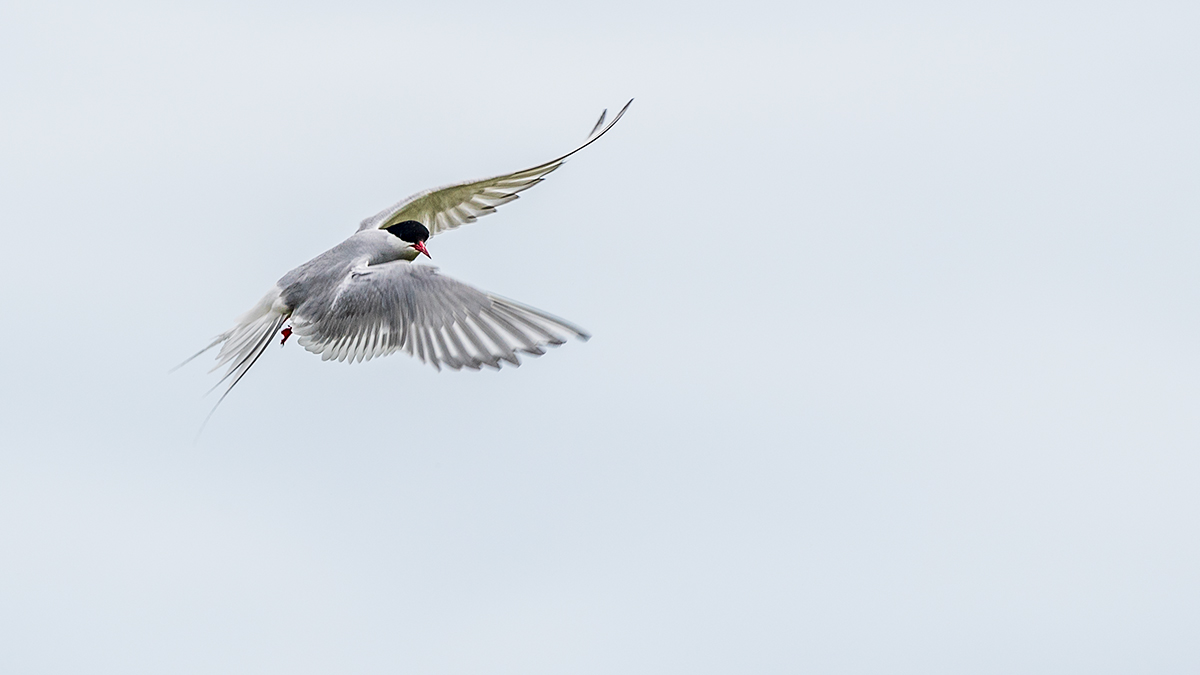 20190716_ND5_4667wNF.jpg