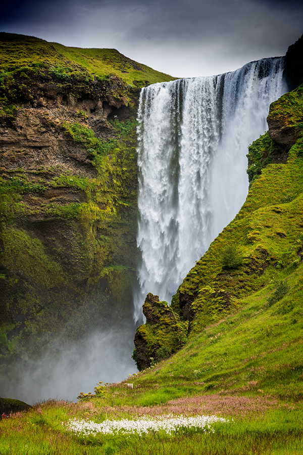 20190726_D850_0578NF.jpg
