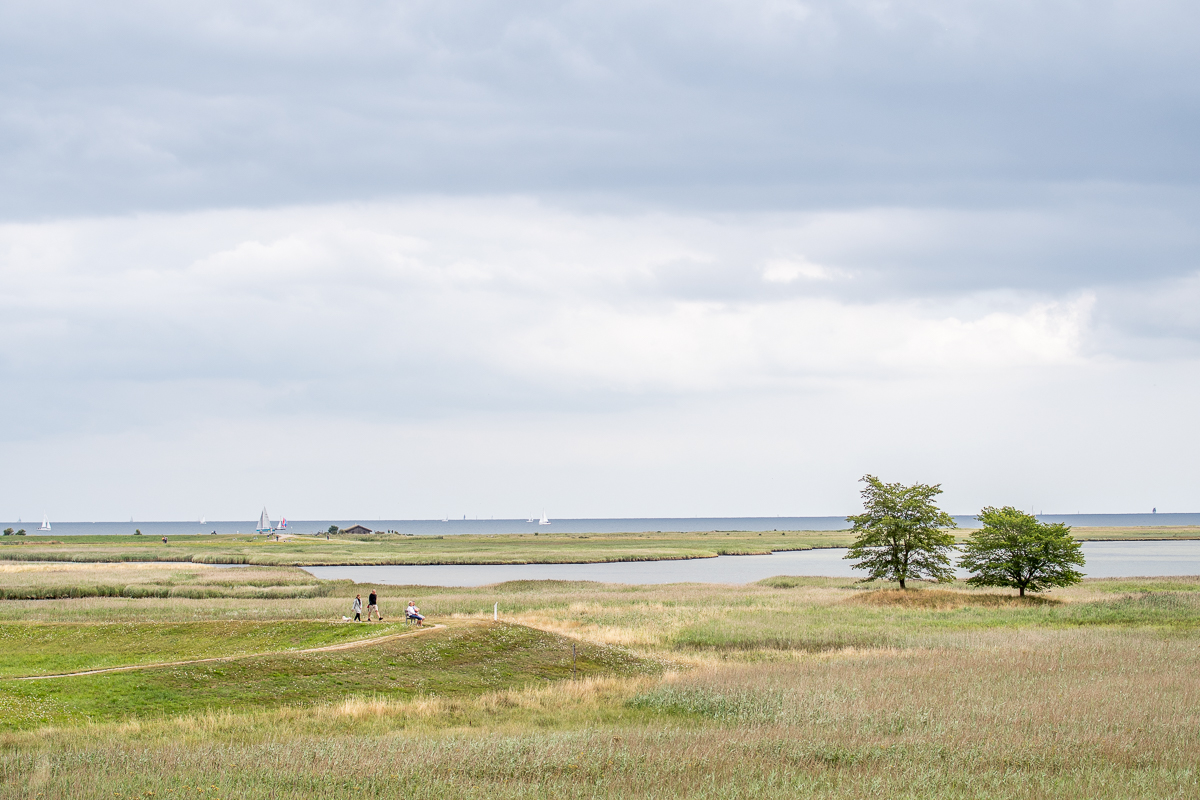 20190804-D50_3388.jpg
