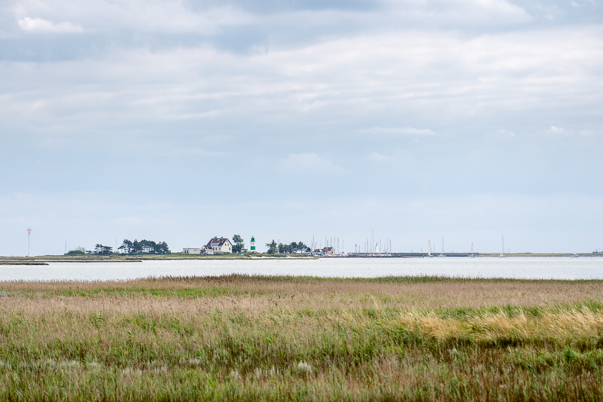 20190804-D50_3426.jpg