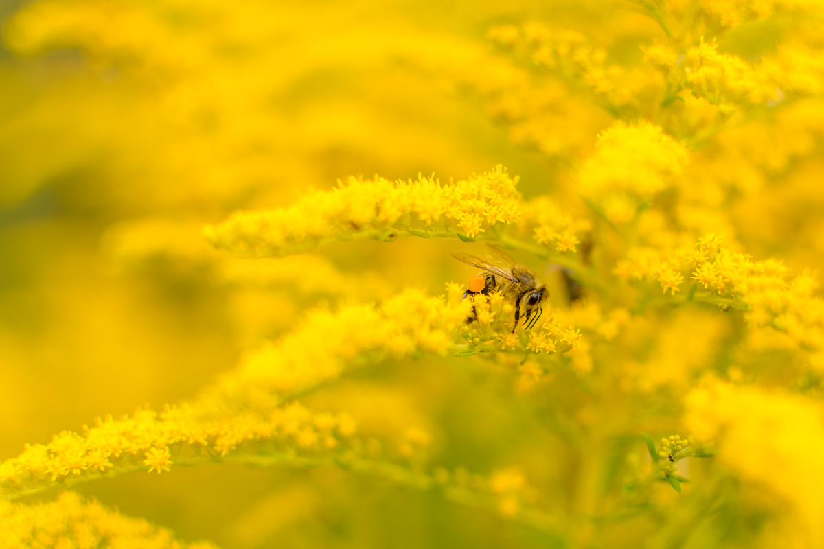 20190907-DSC_4167.jpg