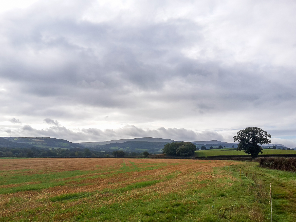 20190923_093759.jpg