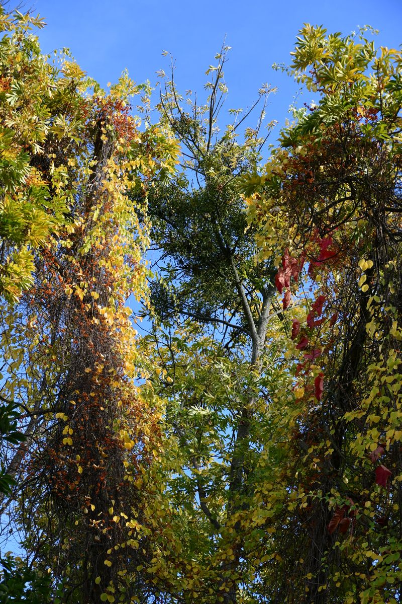 20191022_144428nf.jpg