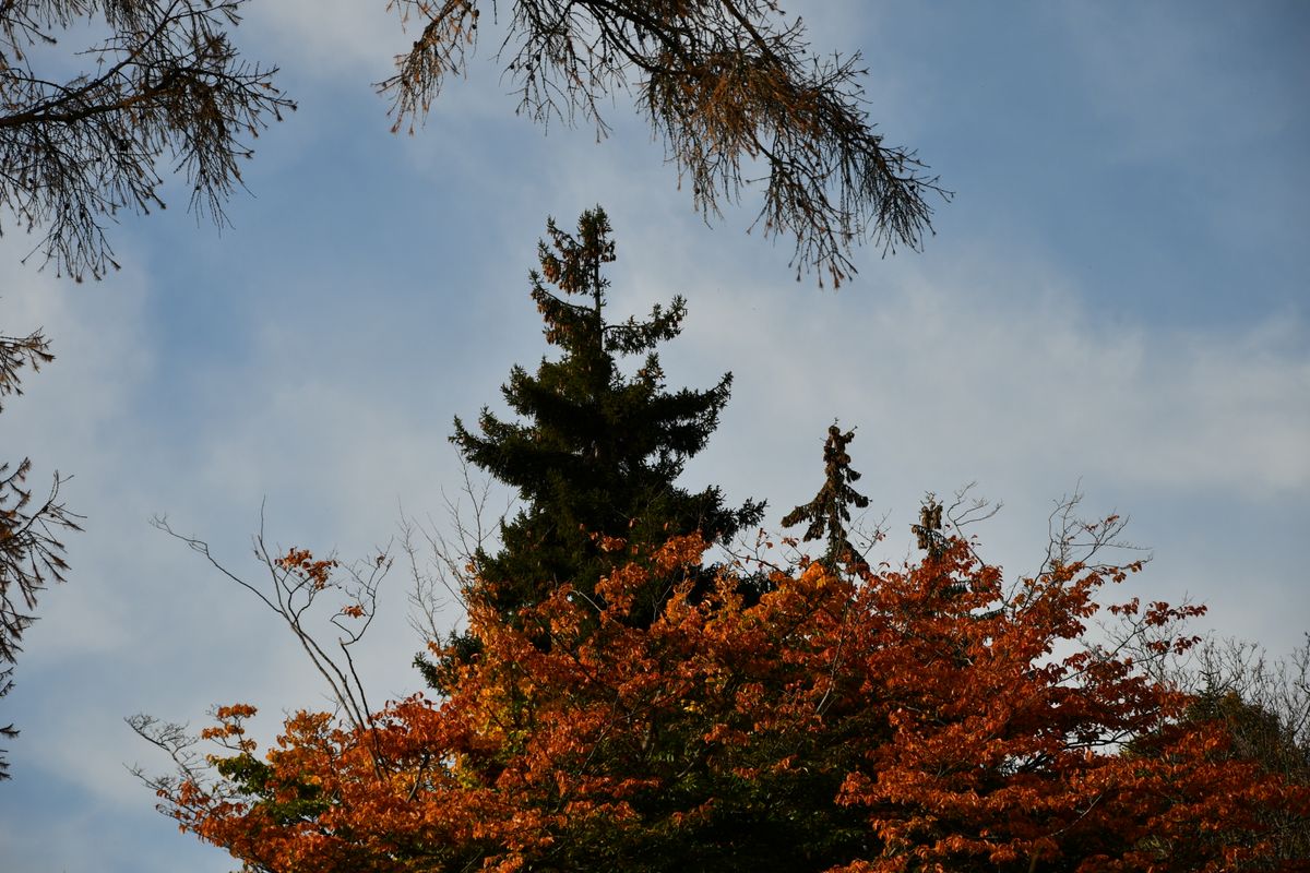20191022_145221nf.jpg